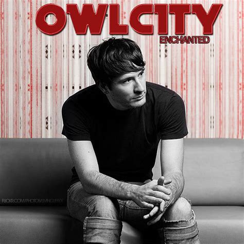 enchanted owl city